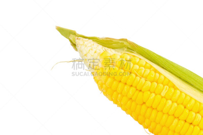 玉米,白色背景,分离着色,头球,特写,清新,水平画幅,无人,配方,膳食