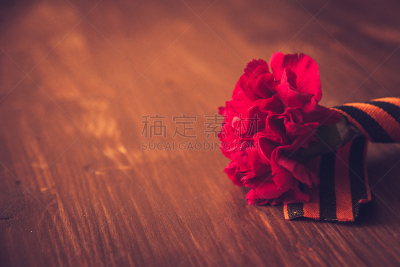暗色,背景,五月,特写,70多岁,缎带,50年节,乔治,康乃馨,花