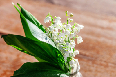 百合花,五月,铃兰,可爱的,清新,浪漫,环境保护,婚礼,香水,芳香疗法