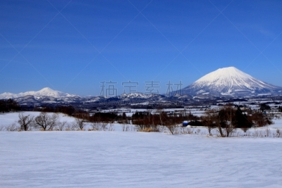 北海道,冬天,地形,雪,羊蹄山,水平画幅,日本,滑雪运动,二世谷,旅行者