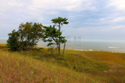 美国中西部地区,希博伊根,威斯康星,居住区,脚印,环境,环境保护,小路,夏天,户外
