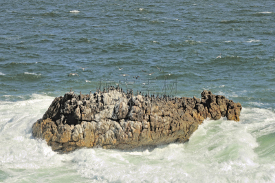 巨石,海角鸬鹚,岛,平衡折角灯,斗篷,绒毛地毯,自然,野生动物,水平画幅,地形