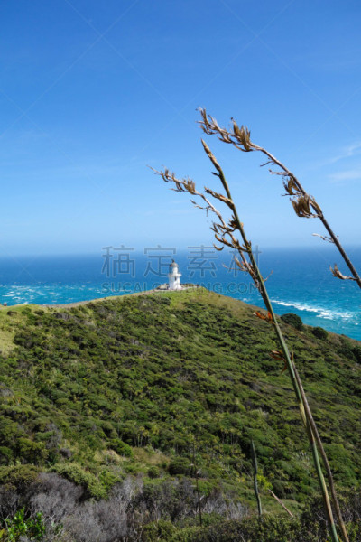 海岸线,新西兰,风,海浪,色彩鲜艳,cape reinga,小路,波浪,户外,灯塔楼