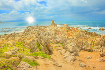 鸟类,冷,锐角,野生动物,鸬鹚,动物,海岸线,非洲企鹅,兽群,岩石