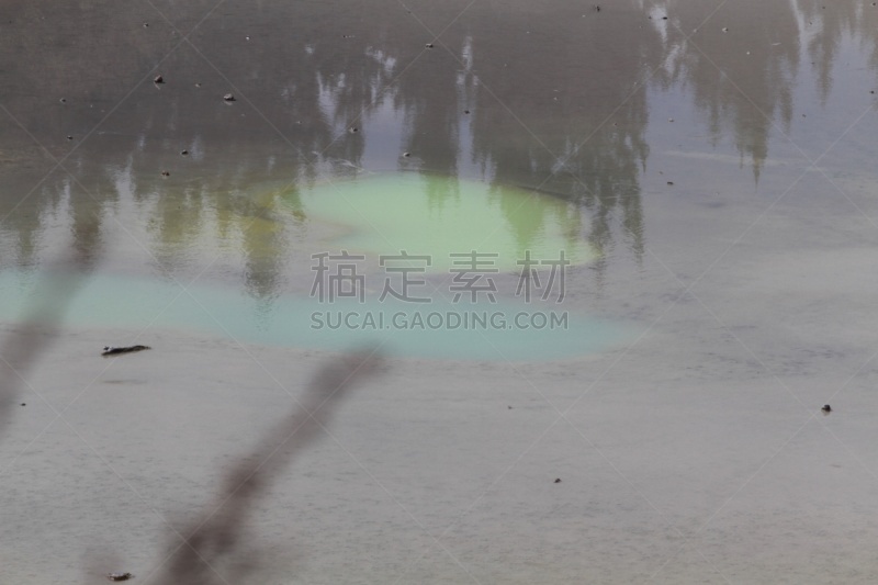 罗托鲁阿,新西兰,一只动物,部分,水,水平画幅,lake tarawera,无人,火山地形,户外