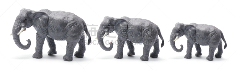 象,玩具,领导能力,重的,水平画幅,全景,巨大的,白色背景,秤,比例