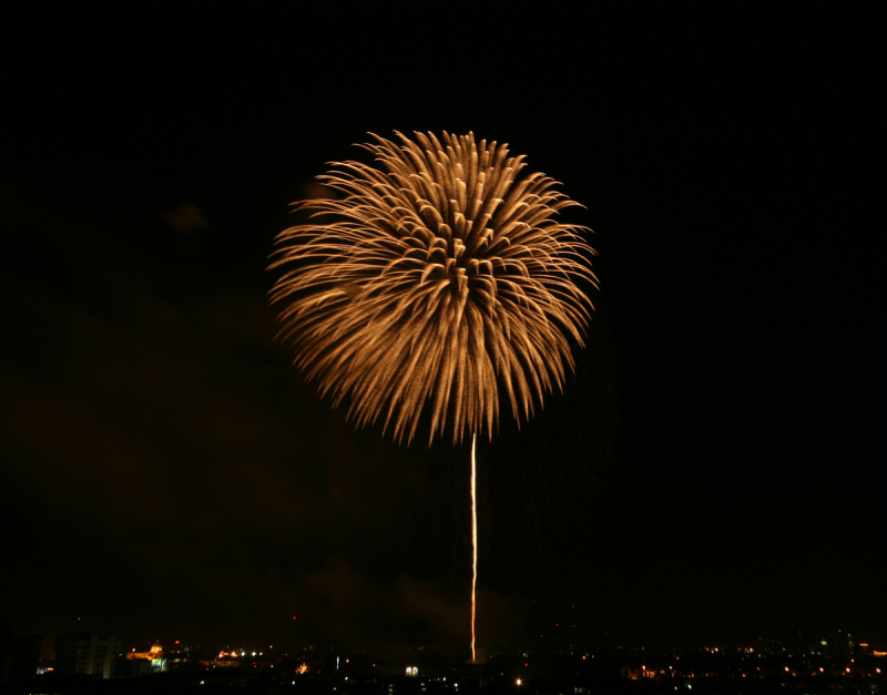 传统节日,城市,水平画幅,夜晚,无人,宫殿,2015年,放焰火,雾,摄影预览效果