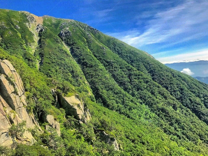 卷着的,千畳敷,长野县,自然界的状态,环境,云,长野县驹根市,天气,枝繁叶茂,草