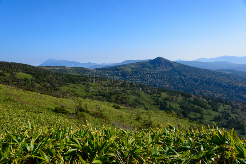 八幡平市,叶子,秋天,山,鹿角市,岩手县,秋田县,天空,美,里山