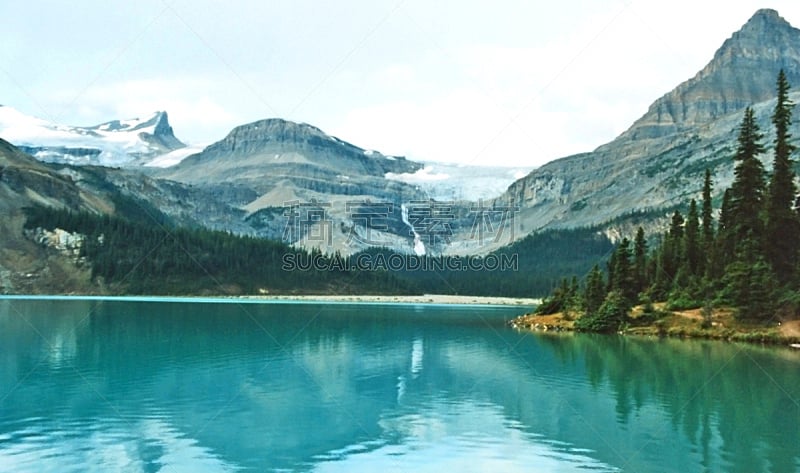 弓湖,冰原大道,加拿大,自然美,湖,加拿大落基山脉,针叶树,夏天,户外,弓河