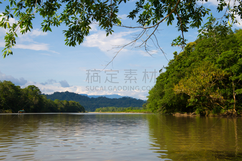 热带雨林,亚马孙洲,自然,风景,图像,厄瓜多尔,枝繁叶茂,无人,亚马逊地区,河流