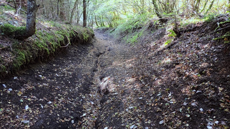 Coulée de lave du puy de Come veille de 10 000 ans devenue un sentier pedestre du parc des volcans d'Auvergne .