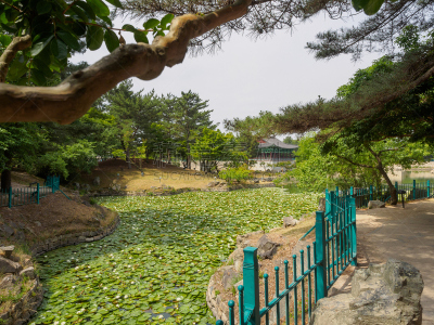 庆州市,池塘,宫殿,庆尚北道,天文台,神殿,亭台楼阁,南,世界遗产,朝鲜半岛