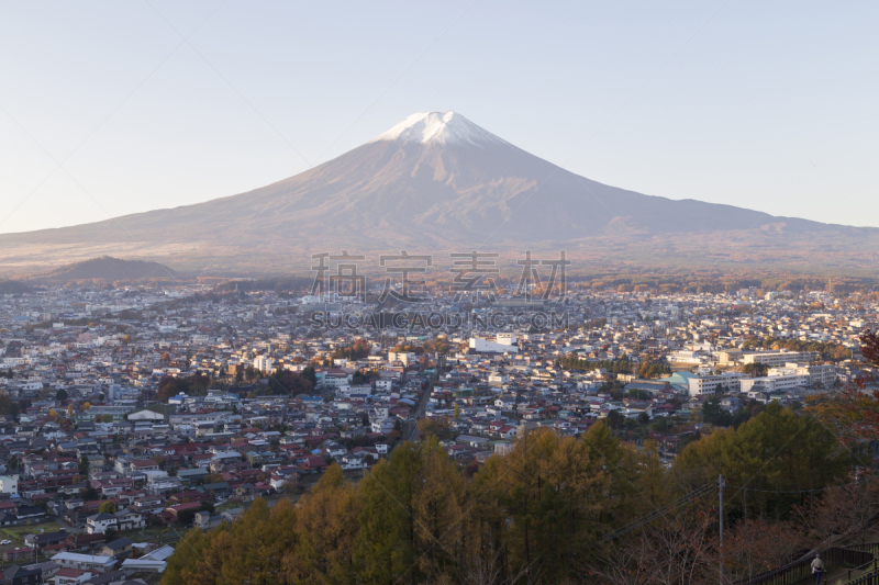 山,富士山,秋天,日本,水平画幅,无人,早晨,户外,湖,鸡爪枫