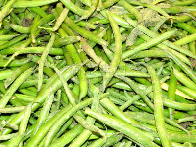 ,青豆,美国,水平画幅,无人,长的,黄荚种菜豆,清新,蔬菜