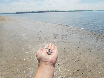 鲨鱼,化石,海滩,牙齿,波弗特,保佛,自然神力,天空,水平画幅,科学