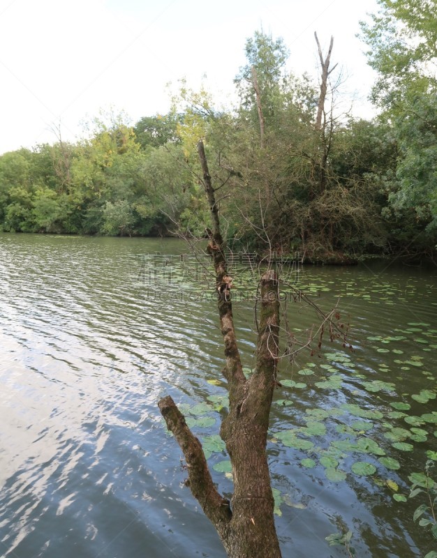 Inner harbor of Mâcon