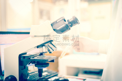 白色,运动模糊,实验室,美,水平画幅,泰国,植物,彩色图片,高良姜