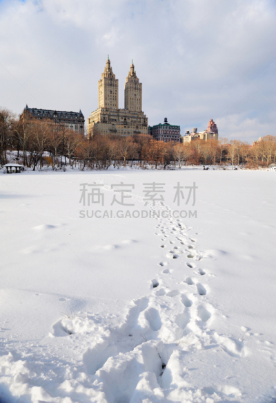 纽约,冬天,中央公园,曼哈顿,垂直画幅,天空,公园,雪,无人