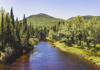 Mont Tremblant National Park is a rich amalgam of Québec's natural and historic heritages, being the largest and oldest park in the network.