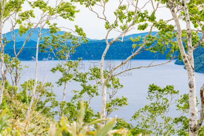 北海道,风景,马舒科湖,弟子屈,里山,度假胜地,水平画幅,无人,夏天,户外