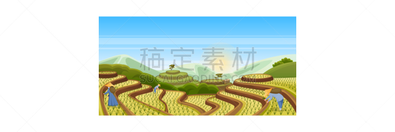 人,背景,农业,矢量,亚洲,农作物,稻,梯田,风景插画,收获
