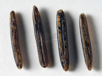 茭白,野生米,仁,野稻米,长粒米,美洲土著居民,背景分离,长的,食品,米