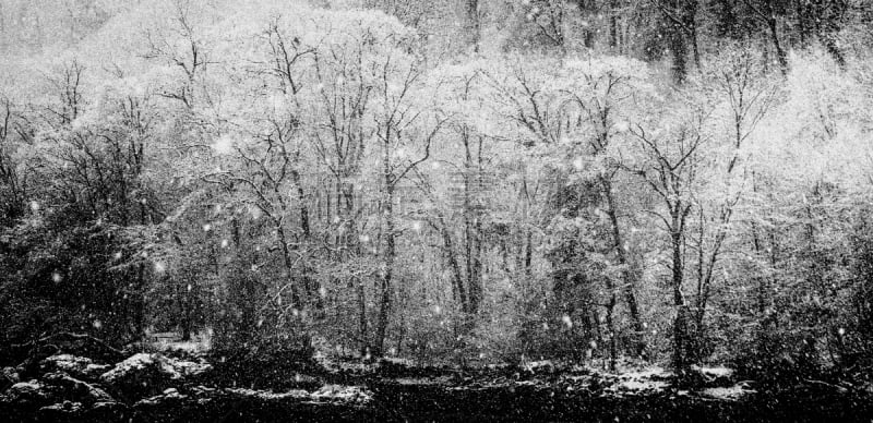 河流,冬天,森林,地形,重的,高对比度,寒冷,雪,巨石,绿松石色