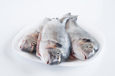 白色,干净,清新,鱼类,盘子,生食,海产,食品,图像,动物