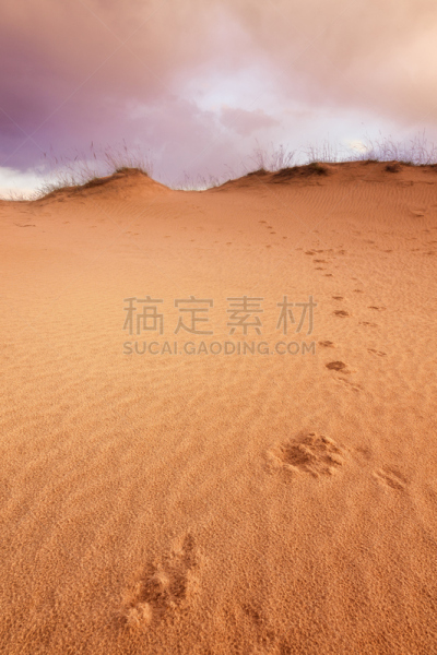 沙丘,脚印,光,垂直画幅,天空,美,云,山,沙子,无人