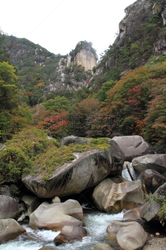 沟壑,叶子,秋天,红色,垂直画幅,水,里山,无人,银杏,户外