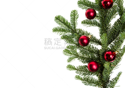 枝,杉树,红松,壮丽冷杉,水平画幅,无人,圣诞树,针叶树,圣诞装饰物