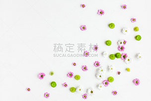 边框,白色背景,多色的,多样,留白,水平画幅,玫瑰,花蕾,植物,清新