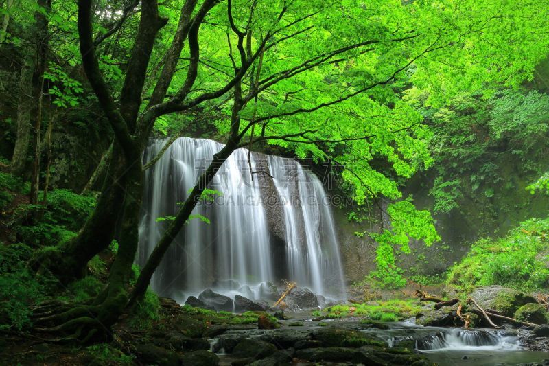 瀑布,夏天,办公用品,水,水平画幅,无人,福岛县,户外,植物,山