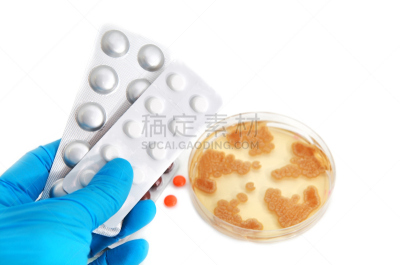 盘尼西林,真菌,药丸,蔬菜,青霉菌,琼脂,四肢,水平画幅,微生物学