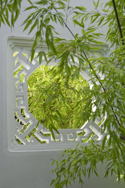竹,窗户,白色,中式庭院,垂直画幅,禅宗,温哥华,洞,枝繁叶茂,无人