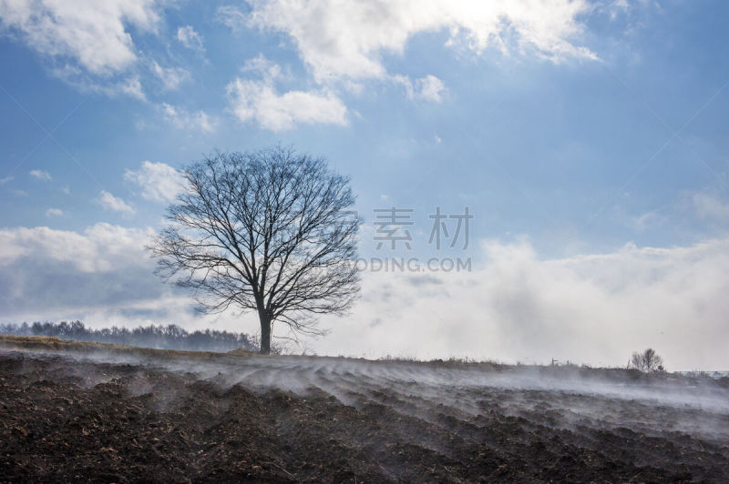 冬天,田地,天空,美,温度,水平画幅,山,能源,泥土,早晨