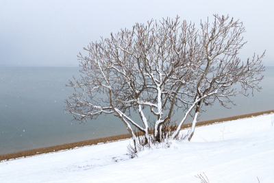 地形,冬天,自然,水,寒冷,舌头,水平画幅,雪,湿,冰