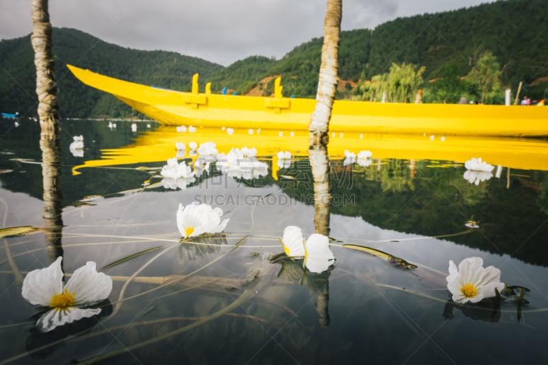 水生植物,船,花朵,泸沽湖,墨西哥雨竹,旅途,云景,清新,木料堆,云