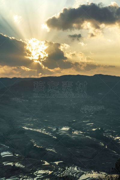 元阳,天空,早晨,光,视角,自然,垂直画幅,水,稻,无人