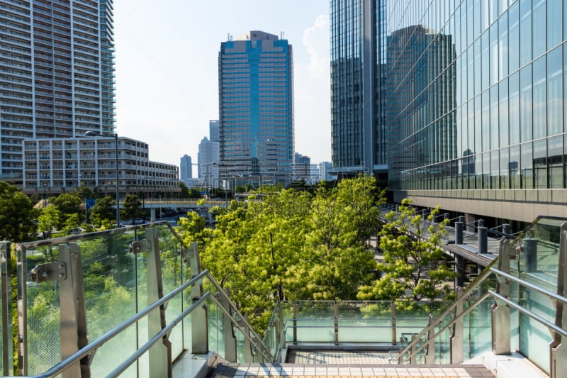 Toyosu buildings and tree-lined street８