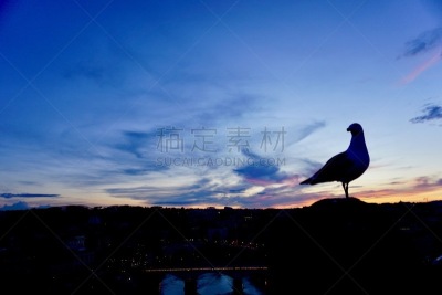 鸟类,圣天使堡,黛安娜公主,罗马,哈德良大帝陵墓,粉色,橙色,图像,动物,无人