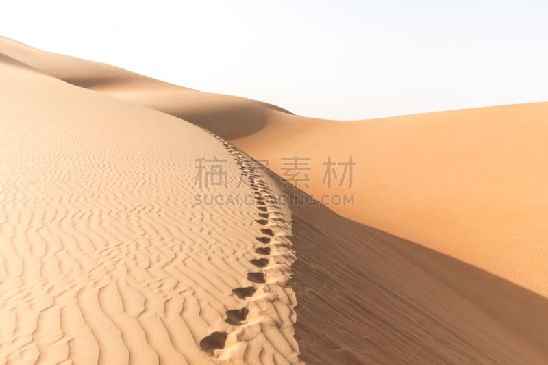 沙丘,地形,风景,empty quarter,沙漠,迪拜,沙特阿拉伯,公园,水平画幅,沙子