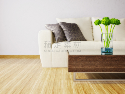现代,室内,起居室,太空,住宅房间,冬季运动,水平画幅,墙,建筑,无人