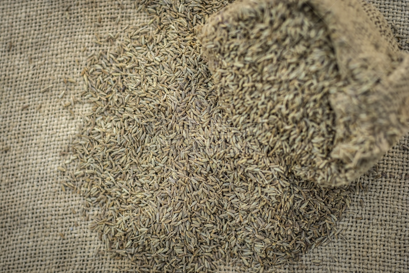 Raw organic cumin seeds,Cuminum cyminum  in  a gunny bag.