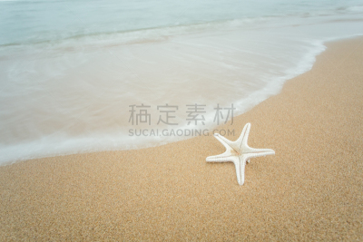 海景,北戴河,女王凤凰螺,休闲活动,沙子,贝壳,海岸地形,巴哈马国,拉丁美洲,海滩