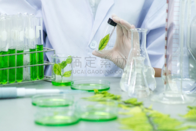 实验室,草药,药,医学检测,水平画幅,无人,生物学家,化学家,科学实验,科学