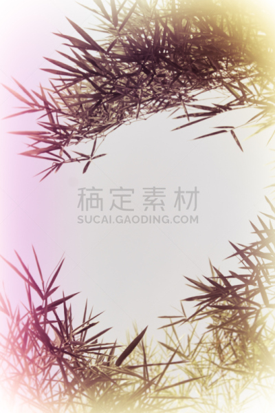 背景,运动模糊,柔焦,竹子叶,夏天,化学元素周期表,纹理效果,焦点,部分,计划书