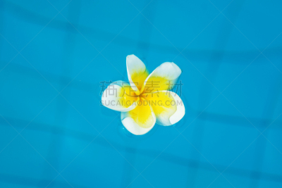 水,明亮,热带的花,面部表情,充气筏,平视角,自然美,spa美容,纯净,夏天