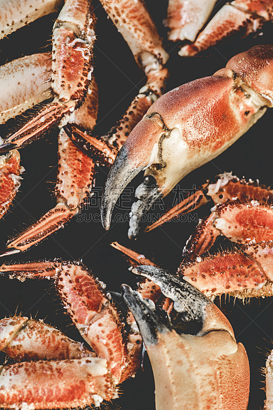 海产,蟹腿,黑色,华贵,螃蟹,食品,橙色,腿,成分,蛋白质